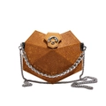Brown rhombic patterned crossbody bag with silver chain strap on white background - Brown