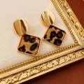 Detail of vintage square leopard print earrings with gold circular metal studs and frame - Diamond / Silver Earring Post - Coffee