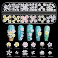 Detailed nail art kit with floral charms, storage box, and size charts on black background - Small White Flower (12TZ-02)