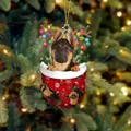 Weihnachtsschmuck Deutscher Schäferhund Welpe mit Geweih und Lichtern in einer Socke - Schäferhund Welpe