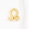 Macro detail of a 12 Zodiac Leo sign gold balloon pendant with mirror polish finish - Leo