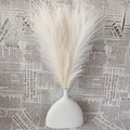 Faux pampas grass bouquet in minimalist white ceramic vase on vintage newspaper - Beige