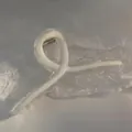 Pinza de pelo grande minimalista en blanco crema con diseño aerodinámico de resina - Blanco Crema