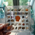 Scatola magnetica in acrilico per conchiglie con scomparti multipli per collezionisti - Grande 33 Griglie (15*15*1.4cm)
