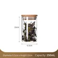 250ml glass storage jar with bamboo lid for tea and snacks 6.5cm wide and 10cm high - 250ML / Replacement Bamboo Lid / 6.5cm*10cm