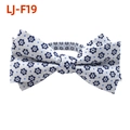 Men's fashion bowtie in white fabric with blue floral and polka dot patterns - Silver Grey Blue Floral