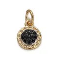 Exquisite 18K gold plated round pendant featuring micro-pave black zircon settings - Gold Black Zircon Round Charm(YSN010-03)