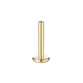 Gouden G23 titanium push-pin labret basis met platte schijf voor lichaams piercing - 1.2x6mm (Basis 4mm) / Goud