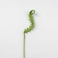 Handmade green crochet leaf stem for Christmas bouquet, artisanal yarn knitted decor piece - Small Fern Leaf Stem