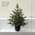 Mini PE artificial Christmas tree with pine cones in black pot, size 50x62cm - 60cm PE Gradient Nordmann Fir
