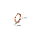 2.5mm thick titanium steel hoop earring in rose gold finish with 12mm diameter size - 2.5*12mm Rose Gold (Single)