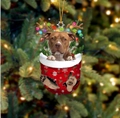 Pitbull Weihnachtsbaumschmuck mit roter Socke und praktischem Aufhänger für Feste - Pitbull Typ 2