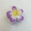 Frangipani hair claw clip with purple and white gradient petals and yellow center - Bauhinia Hair Claw / Pack of 12 (8x7x4.3cm) / Purple