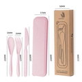 Pink wheat straw travel cutlery set with case and eco-friendly packaging box - Nordic Pink / With Kraft Box