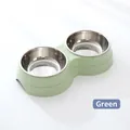 Dual pet feeding station with two stainless steel bowls and light green base - Green