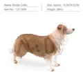 Realistic brown and white Border Collie dog model, 18.5x5x12CM simulation ornament - Border Collie (PL127-1656)
