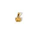 Detailed view of polished 18k gold plated letter W bubble pendant with metal connector - Gold Letter W (TP001-W)