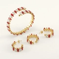 18K gold plated stainless steel jewelry set with red and clear marquise gemstones - Clear and Red