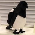 Uccello di peluche realistico a forma di gazza bianca e nera con morbida pelliccia - Gazza dal Becco Nero / 22cm