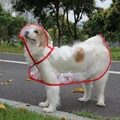 Transparent waterproof pet raincoat with red edges and snap buttons for small dogs - Red Edge