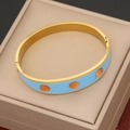Retro stainless steel gold bangle with sky blue enamel and orange cat-eye stone - Sky Blue Enamel Inlaid Orange Gemstone Style (5#)