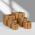 Set of 6 natural brown kraft paper gift bags with flat handles in various sizes - 12x12x12cm / Kraft Color