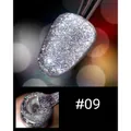 Sparkling silver glitter gel nail polish shade 09 with high intensity reflective finish - 8ml / Colorful Bright Silver