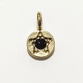 Pendentif étoile doré avec pierre précieuse foncée pour colliers personnalisés - Or - Février