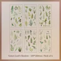 Green fern and leaf PVC decorative stickers set for scrapbooking, 100x180mm 6-sheet pack - Green Leaf Wonderland