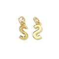 Detailed macro view of a pair of shiny 18K gold letter S charms with polished metal texture - Letter S