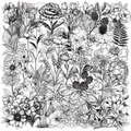 50 Stück schwarz-weiße botanische PET-Aufkleber mit floralen Strichzeichnungen und Motiven - Schwarz-Weiß Botanischer Stil
