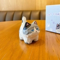 Cartoon wood-style resin cat figurine in white and grey spots with blue gift box - Wood Carving Style Standing - Blue and White Cat