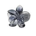 Translucent smoky grey plumeria hair claw clip with durable metal spring for hair styling - 8cm Transparent Black