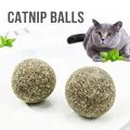 Set of 2 natural compressed catnip balls for teeth cleaning with a grey British Shorthair cat - 3.2cm Catnip Ball