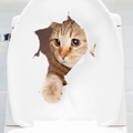 Cute 3D orange cat peeping through torn lid waterproof bathroom toilet seat sticker decal - Orange Cat Peeking Out/AD1154 / 20*30cm