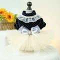 Navy polka dot pet dress with white lace collar and oversized mesh bow for small dogs - Polka Wedding Dress