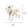 Halloween decoratieve hondenskelet van plastic, afmetingen 30cm lang en 24cm hoog voor decor - Hondenskelet