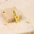 Macro detail of polished gold-plated letter P pendant on a natural stone background - Letter-P / Steel