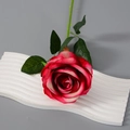 Flanellstoff Groß Dunkelrosa