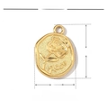 Detailed view of an oval gold rose pendant with dimensions 19mm by 14mm in stainless steel - VG229x3/Rose Oval