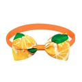 Adjustable orange fruit print pet bowtie with citrus pattern and elastic strap - Orange Citrus