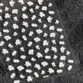 Autocollants 5D pour ongles à motif floral blanc mat, design KX036 adhésif - Style de Motif Floral Blanc (KX036)