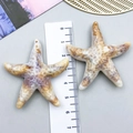 Macro shot of 6cm beige starfish pendant with realistic texture and scale ruler - Large Cream Acrylic Starfish 49x45.5x10mm (23607)