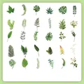 Botanische stickerset met 60 stuks vintage varens, esdoornbladeren en bloemmotieven - Varen Verlangen