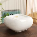 White ceramic pet water fountain with square rounded design and circulating water flow - Golden Blessing [White-Square]