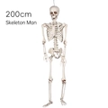 Life-sized 200cm realistic skeleton model with hanging rope for Halloween decor - 200cm Skeleton