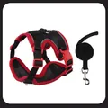 Adjustable black and red breathable mesh cat harness and lead set with reflective trim - Lightweight Breathable Black