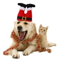 Christmas Santa Claus style pet hat for dogs and cats in red and white festive plush - Santa Claus Style Clown Hat