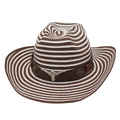 Striped straw cowboy hat with brown leather band and silver longhorn bull head accessory - One Size / Coffee White With Wind Rope [Brown Cow Head]