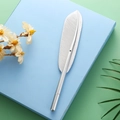 Creative realistic matte silver feather shaped gel pen on light blue gift box background - 0.5mm / Silver